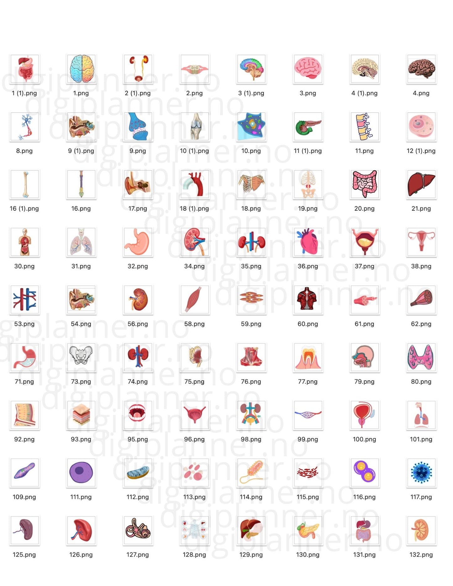 Digital Stickers - BIO + 224 digitale klistremerker!