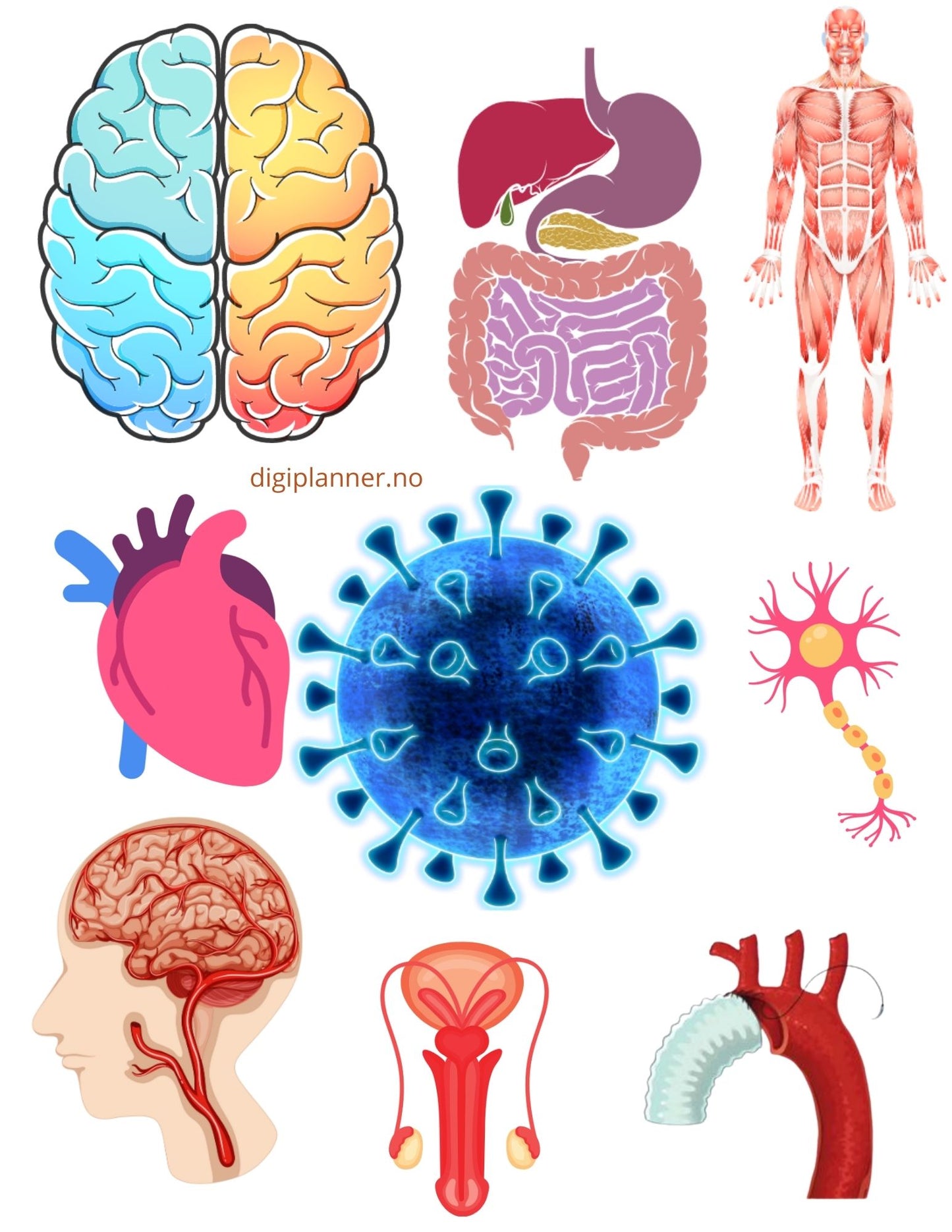 Digital Stickers - BIO + 224 digitale klistremerker!