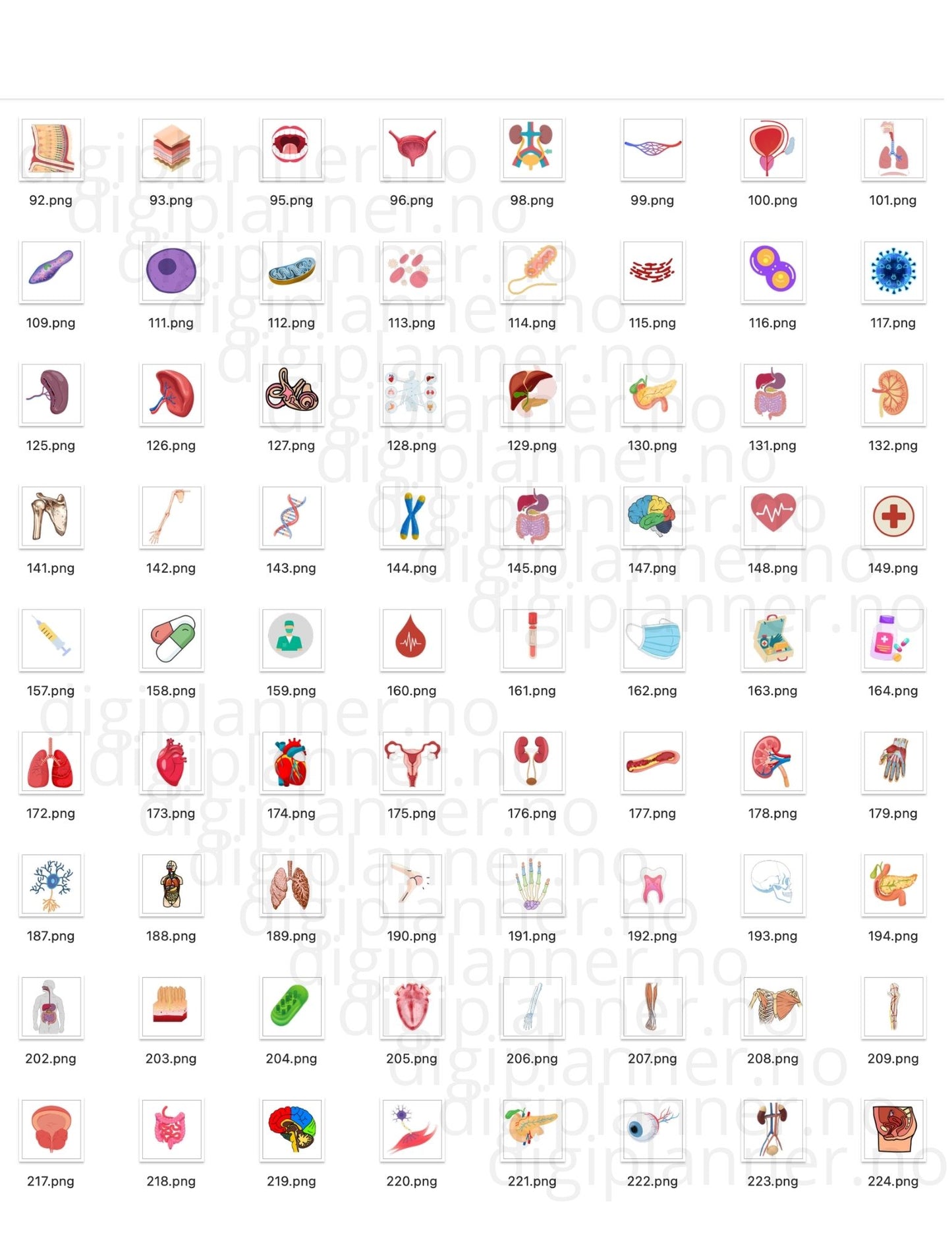 Digital Stickers - BIO + 224 digitale klistremerker!