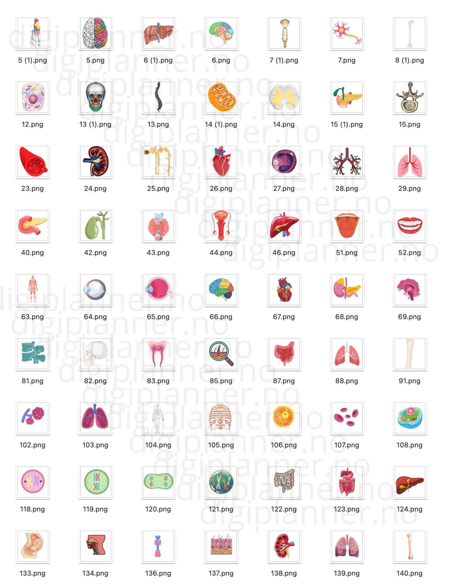 Digital Stickers - BIO + 224 digitale klistremerker!